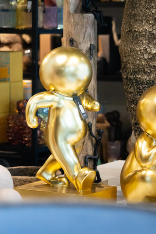 ****Marcel Wandelend Kalk Goudkleurig (55542)