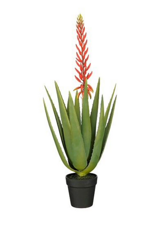 MICA DECORATIONS ALOE VERA IN POT ROOD - H82XD43CM