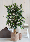 Plant - MICA DECORATIONS FICUS ARTIFICIAL PLANT - H110 X Ø65 CM - GREEN