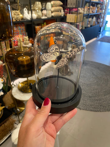 **Decoratieve Stolp Vlinder Glas Zwart/Wit Small