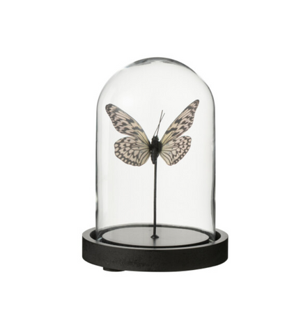 Decoratieve Stolp Vlinder Glas Zwart/Wit Small