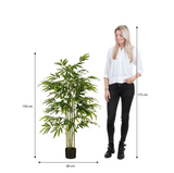 MICA DECORATIONS BAMBOO ARTIFICIAL PLANT IN POT - H150 X Ø60 CM - GREEN