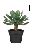 MICA DECORATIONS SUCCULENT IN POT GREEN - H39XD30CM