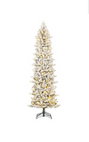 BLACK BOX TREES HARMA PILAR KERSTBOOM LED GROEN FROSTED WARM WIT 200L TIPS 699 EN TIMER & DIMMER - H185XD63CM