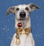 Hond - Dog with a Mission - Bling Dog Collar | Party Special