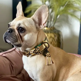 Hond - Dog with a Mission - Bling Dog Collar | Party Special