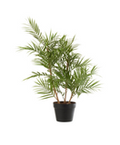 Bergpalm In Pot Plastiek Groen/Zwart Small