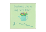 Tile groeien green 10x10x1cm