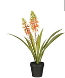 MICA DECORATIONS ALOE VERA IN POT ORANJE - H43XD30,5CM