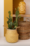 Plant - Cactus+Pot Groen/Cement Large (80454)