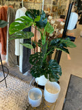 Plant - Monstera in pot green - h100xd70cm